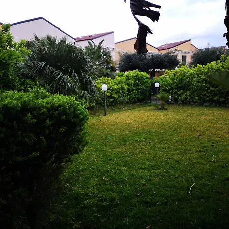 Centounopini *
